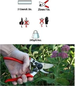 Felco 2 + GRATIS Felco Handschoenen In Cadeauverpakking -Tuin En Buiten 1056x1200 1