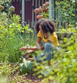 GARDENA - ExpertCut - Snoeischaar - 22 Diameter Tak -Tuin En Buiten 1116x1200 2