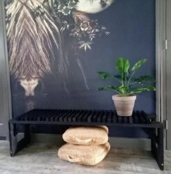 Tuinbank Design 2023 - 150CM - Grenen Hout - Zwart -Tuin En Buiten 1178x1200