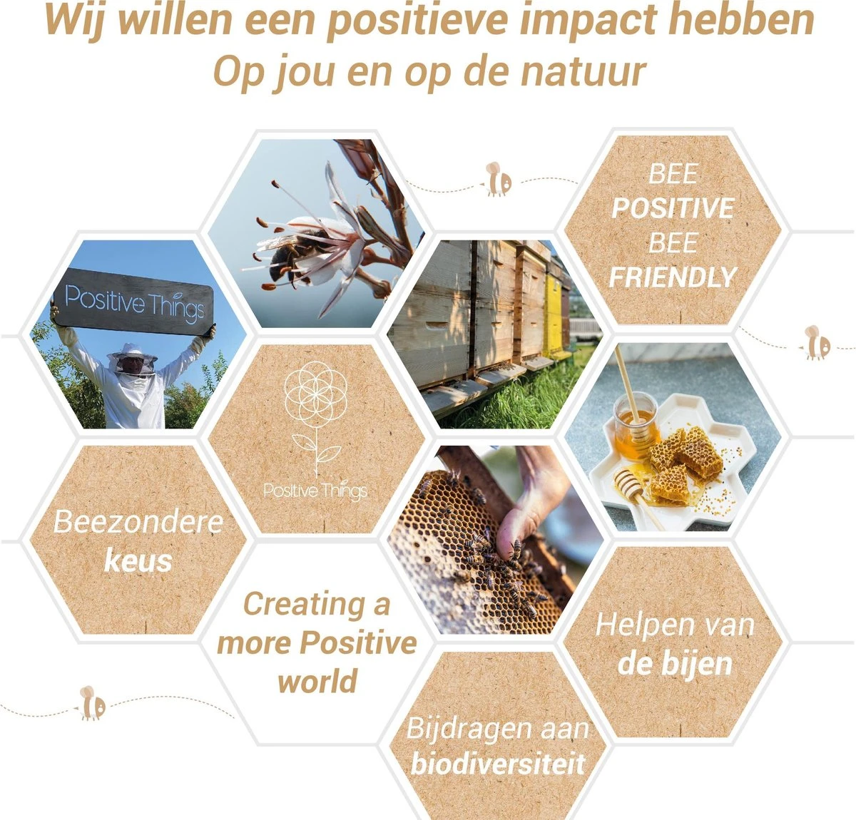 Ophangsysteem - Plafondhaak RVS - Ophanghaak TRX - Hangstoel Buiten - Hangstoel Binnen – Schommelstoel - Schommel - Bokszakken - RVS - 300kg 7 Ophangsysteem - Plafondhaak RVS - Ophanghaak TRX - Hangstoel Buiten - Hangstoel Binnen – Schommelstoel - Schommel - Bokszakken - RVS - 300kg - Afbeelding 7