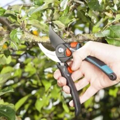 GARDENA - Comfort B/S-XL Bypass - Snoeischaar - Ø 24 Mm - 25 Jaar Garantie 18 GARDENA - Comfort B/S-XL Bypass - Snoeischaar - Ø 24 Mm - 25 Jaar Garantie -Tuin En Buiten 1200x1200 557