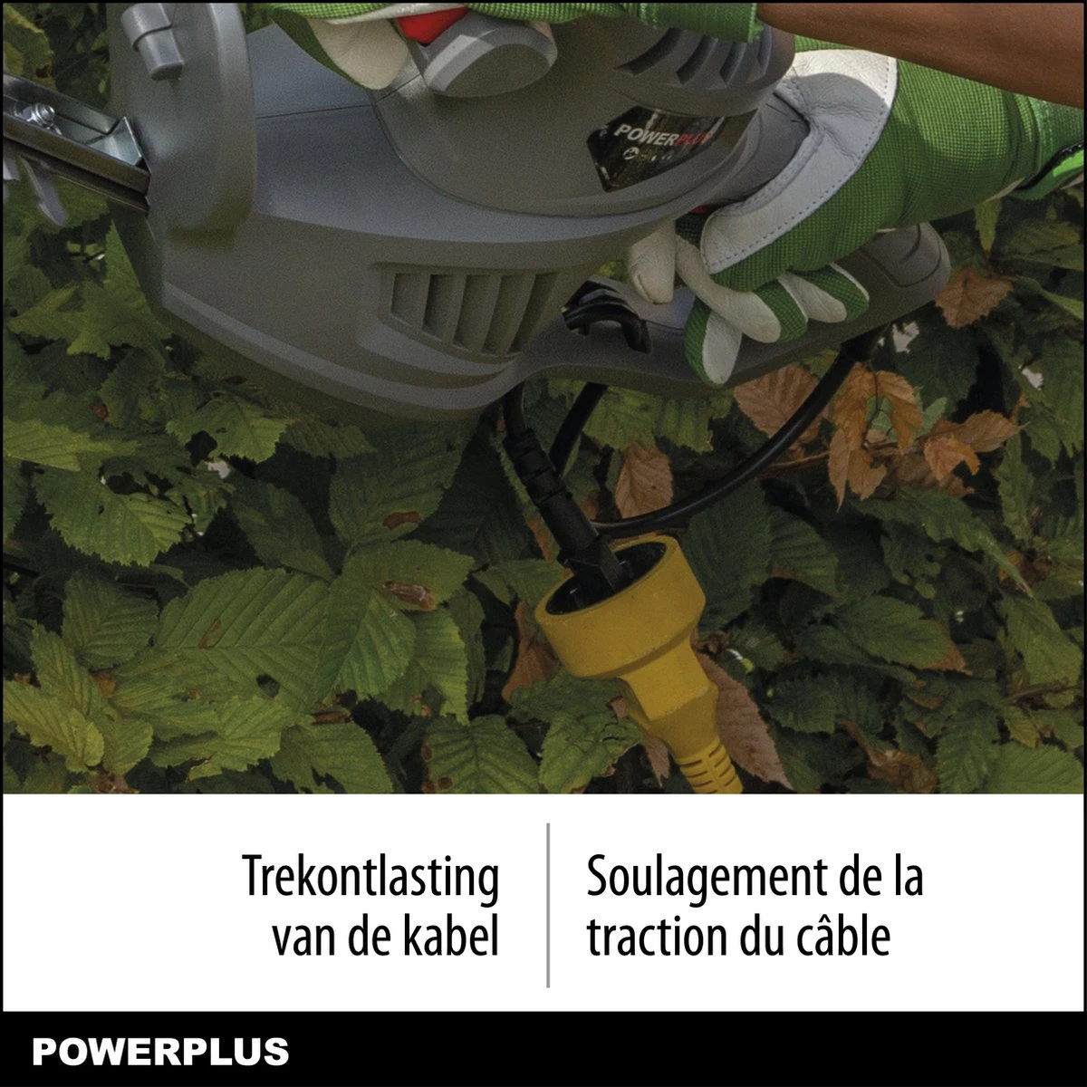 Powerplus POWEG40100 Elektrische Heggenschaar - 550W - Snoeien En Knippen - Zwaardlengte 560mm - Mesafstand 16mm - Haagschaar Voor Tuinonderhoud 4 Powerplus POWEG40100 Elektrische Heggenschaar - 550W - Snoeien En Knippen - Zwaardlengte 560mm - Mesafstand 16mm - Haagschaar Voor Tuinonderhoud - Afbeelding 4