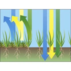 GARDENA EVC 1000 Verticuteermachine - Werkbreedte 30 Cm - Werkgebied 600m2 25 GARDENA EVC 1000 Verticuteermachine - Werkbreedte 30 Cm - Werkgebied 600m2 -Tuin En Buiten 1200x1200 670