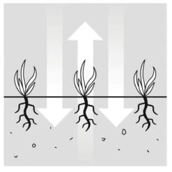 GARDENA EVC 1000 Verticuteermachine - Werkbreedte 30 Cm - Werkgebied 600m2 26 GARDENA EVC 1000 Verticuteermachine - Werkbreedte 30 Cm - Werkgebied 600m2 -Tuin En Buiten 1200x1200 671