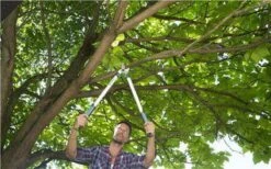 Gardena EasyCut Takkenschaar 68B + Classic Snoeischaar 8754 Display 1stuk 12003-30 -Tuin En Buiten 1200x749 2