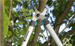 Gardena EasyCut Takkenschaar 68B + Classic Snoeischaar 8754 Display 1stuk 12003-30 -Tuin En Buiten 1200x749