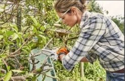 Stihl Accu Mini Kettingzaag SET - Snoeischaar - Snoeizaag - Hand Kettingzaag - Professioneel- Hovenier- Tuinman -Tuin En Buiten 1200x779 1