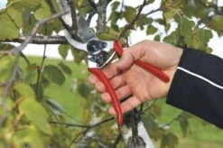 Felco 2 Snoeischaar - Rechtshandig - Max. Knipdiameter 25 Mm - Lengte 215 Mm -Tuin En Buiten 1200x796 6