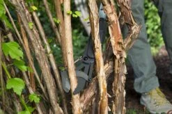 GARDENA - SlimCut Takkenschaar -28mm- Met Hefboommechanisme 12 GARDENA - SlimCut Takkenschaar -28mm- Met Hefboommechanisme -Tuin En Buiten 1200x799 60