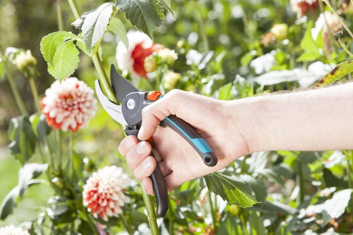 GARDENA Comfort B/M Bypass Snoeischaar - Ø 24mm - Met Sapgeul 8 GARDENA Comfort B/M Bypass Snoeischaar - Ø 24mm - Met Sapgeul - Afbeelding 8