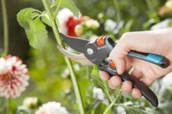 GARDENA Comfort B/M Bypass Snoeischaar - Ø 24mm - Met Sapgeul 17 GARDENA Comfort B/M Bypass Snoeischaar - Ø 24mm - Met Sapgeul -Tuin En Buiten 1200x799 70