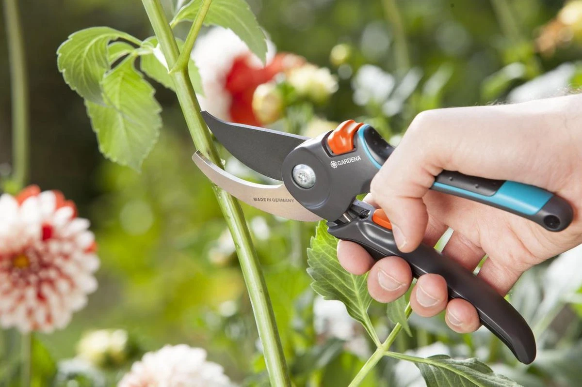GARDENA Comfort B/M Bypass Snoeischaar - Ø 24mm - Met Sapgeul 9 GARDENA Comfort B/M Bypass Snoeischaar - Ø 24mm - Met Sapgeul - Afbeelding 9