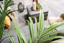 Fonteyn | Loungeset Connor | Melange 24 Fonteyn | Loungeset Connor | Melange -Tuin En Buiten 1200x800 131