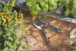 GARDENA - Comfort B/S-XL Bypass - Snoeischaar - Ø 24 Mm - 25 Jaar Garantie 21 GARDENA - Comfort B/S-XL Bypass - Snoeischaar - Ø 24 Mm - 25 Jaar Garantie -Tuin En Buiten 1200x800 278