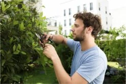 GARDENA - Comfort B/S-XL Bypass - Snoeischaar - Ø 24 Mm - 25 Jaar Garantie 26 GARDENA - Comfort B/S-XL Bypass - Snoeischaar - Ø 24 Mm - 25 Jaar Garantie -Tuin En Buiten 1200x800 281