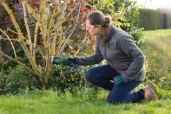 Bosch KEO 18 Accu Tuinzaagmachine - Snijdiameter Van 80 Mm - Met 18 V Accu En Lader -Tuin En Buiten 1200x800 292