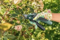 Bosch EasyPrune Accu Snoeischaar - 3.6 V Accu - USB -Tuin En Buiten 1200x800 303