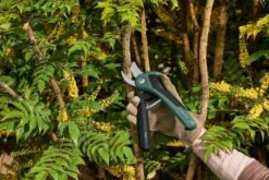 Bosch EasyPrune Accu Snoeischaar - 3.6 V Accu - USB -Tuin En Buiten 1200x800 304