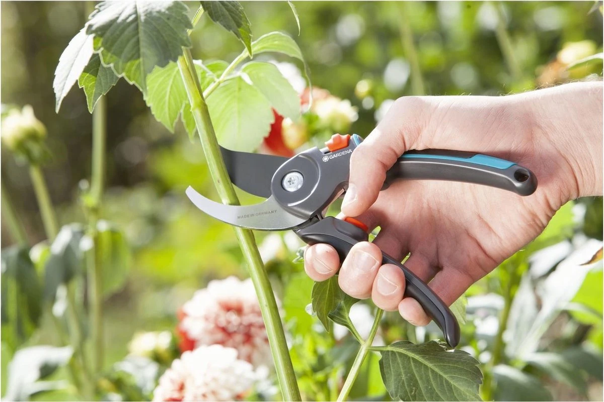 GARDENA Comfort B/M Bypass Snoeischaar - Ø 24mm - Met Sapgeul 3 GARDENA Comfort B/M Bypass Snoeischaar - Ø 24mm - Met Sapgeul - Afbeelding 3