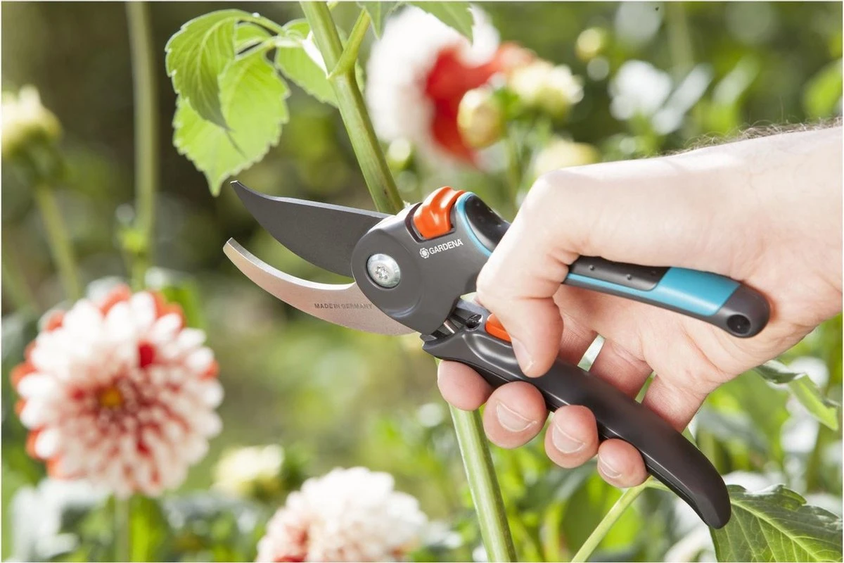 GARDENA Comfort B/M Bypass Snoeischaar - Ø 24mm - Met Sapgeul 5 GARDENA Comfort B/M Bypass Snoeischaar - Ø 24mm - Met Sapgeul - Afbeelding 5