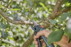 GARDENA AssistCut Snoeischaar- Ø 25mm 22 GARDENA AssistCut Snoeischaar- Ø 25mm -Tuin En Buiten 1200x800 314