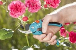 GARDENA - Classic B/S-M Bypass Snoeischaar - Ø 22mm - 25 Jaar Garantie -Tuin En Buiten 1200x800 318