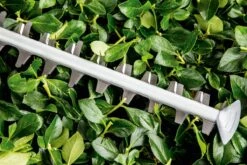 Bosch UniversalHedgeCut 60 Heggenschaar - Op Snoer - Lengte 60 Cm -Tuin En Buiten 1200x800 337