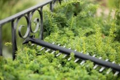 Bosch UniversalHedgeCut 18-55 Heggenschaar - Zonder 18V Accu En Oplader 14 Bosch UniversalHedgeCut 18-55 Heggenschaar - Zonder 18V Accu En Oplader -Tuin En Buiten 1200x800 349