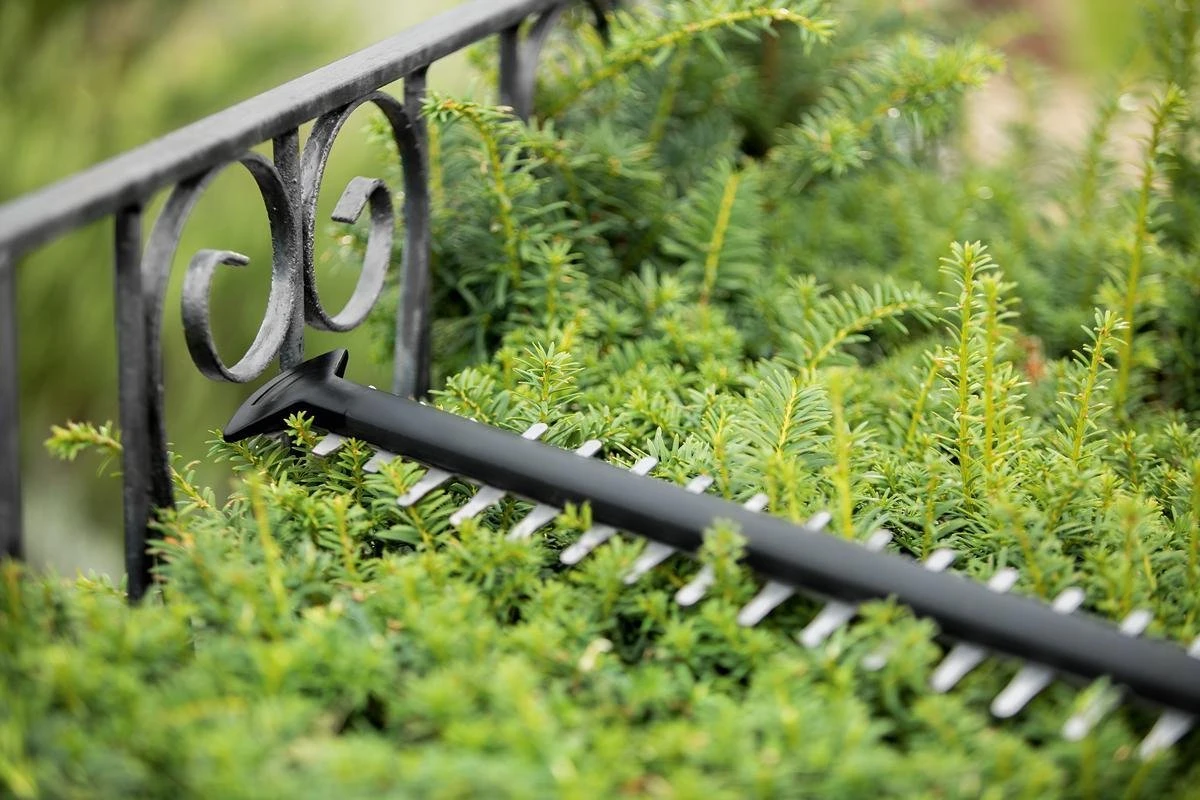 Bosch UniversalHedgeCut 18-55 Heggenschaar - Zonder 18V Accu En Oplader 5 Bosch UniversalHedgeCut 18-55 Heggenschaar - Zonder 18V Accu En Oplader - Afbeelding 5