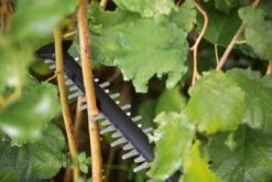 Bosch UniversalHedgeCut 18-55 Heggenschaar - Zonder 18V Accu En Oplader 17 Bosch UniversalHedgeCut 18-55 Heggenschaar - Zonder 18V Accu En Oplader -Tuin En Buiten 1200x800 352