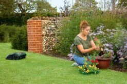 Bosch Indego S+ 500 Robotmaaier - Voor Gazons Tot 500 M2 - Incl. Laadstation En Accessoires - Connected -Tuin En Buiten 1200x800 408