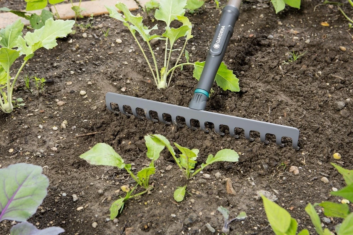 Gardena NatureLine Hark | 36 Cm | FSC 100% - 17106-20 5 Gardena NatureLine Hark | 36 Cm | FSC 100% - 17106-20 - Afbeelding 5