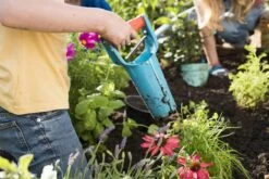 GARDENA Bollenplanter - Diepteaanduiding - Automatische Aardeloslating 12 GARDENA Bollenplanter - Diepteaanduiding - Automatische Aardeloslating -Tuin En Buiten 1200x800 430