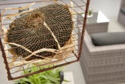 Garden Impressions Montana Loungeset - Organic Grey 24 Garden Impressions Montana Loungeset - Organic Grey -Tuin En Buiten 1200x801 3