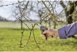 GARDENA - ExpertCut - Snoeischaar - 22 Diameter Tak -Tuin En Buiten 1200x815