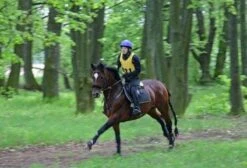 Aqua2Go GD86 Staand Electrische Pressure Washer - 20 Liter Tank - Afneembare Pomp 39 Aqua2Go GD86 Staand Electrische Pressure Washer - 20 Liter Tank - Afneembare Pomp -Tuin En Buiten 1200x817 3