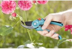 GARDENA - Classic B/S-M Bypass Snoeischaar - Ø 22mm - 25 Jaar Garantie -Tuin En Buiten 1200x820 7