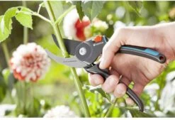 GARDENA Comfort B/M Bypass Snoeischaar - Ø 24mm - Met Sapgeul 14 GARDENA Comfort B/M Bypass Snoeischaar - Ø 24mm - Met Sapgeul -Tuin En Buiten 1200x822 2