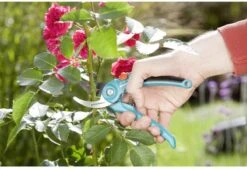 GARDENA 08853-20 Gardena Tuinschaar -Tuin En Buiten 1200x825 13