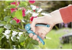 GARDENA - Classic B/S-M Bypass Snoeischaar - Ø 22mm - 25 Jaar Garantie -Tuin En Buiten 1200x825 15