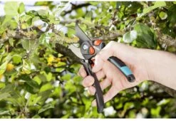 GARDENA - Comfort B/S-XL Bypass - Snoeischaar - Ø 24 Mm - 25 Jaar Garantie 28 GARDENA - Comfort B/S-XL Bypass - Snoeischaar - Ø 24 Mm - 25 Jaar Garantie -Tuin En Buiten 1200x825 2