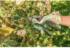 Bosch EasyPrune Accu Snoeischaar - 3.6 V Accu - USB -Tuin En Buiten 1200x825 8