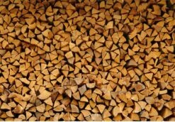 Steko Houtsplijter Voor Grote Blokken - Voor Aanmaakhout & Brandhout - Houtklover - Houtkliever - Splijtwig - Handmatig - Overal Te Gebruiken 1605 Gram - Metaal - Kloofwig - HOGE VOLUMEKORTING -Tuin En Buiten 1200x837