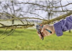 GARDENA - ExpertCut - Snoeischaar - 22 Diameter Tak -Tuin En Buiten 1200x859 1