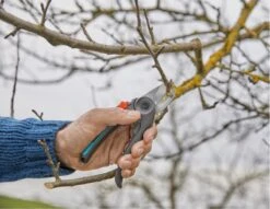 GARDENA - ExpertCut - Snoeischaar - 22 Diameter Tak -Tuin En Buiten 1200x929