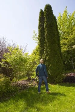 GARDENA TeleCut Heggenschaar - Telescopische Handgrepen Van 70-90 Cm -Tuin En Buiten 799x1200 35