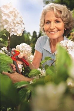 WOLF-Garten Snoeischaar "Premium Plus" RR 4000 - Max. Knipdiameter 22 Mm - Links- En Rechtshandige - Softinleg Handgreep - Snijhoek 30° - Voor Grote Handen - Vervangbare Messen 21 WOLF-Garten Snoeischaar "Premium Plus" RR 4000 - Max. Knipdiameter 22 Mm - Links- En Rechtshandige - Softinleg Handgreep - Snijhoek 30° - Voor Grote Handen - Vervangbare Messen -Tuin En Buiten 800x1200 56