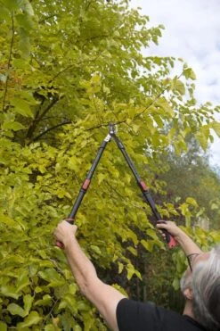 Kreator KRTGR4003 Telescopische Takkenschaar – Jong Hout - Knipdiameter: Ø34 Mm 7 Kreator KRTGR4003 Telescopische Takkenschaar – Jong Hout - Knipdiameter: Ø34 Mm -Tuin En Buiten 800x1200 59