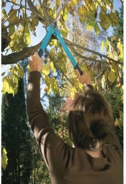 GARDENA Comfort 500 BL Takkenschaar - Max Knipdiameter 35 Mm 14 GARDENA Comfort 500 BL Takkenschaar - Max Knipdiameter 35 Mm -Tuin En Buiten 825x1200 3