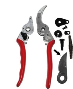 Felco 2 + GRATIS Felco Handschoenen In Cadeauverpakking -Tuin En Buiten 987x1200